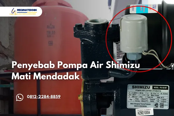 Pompa Air Shimizu Mati Mendadak Ini Penyebab dan Cara Mengatasinya